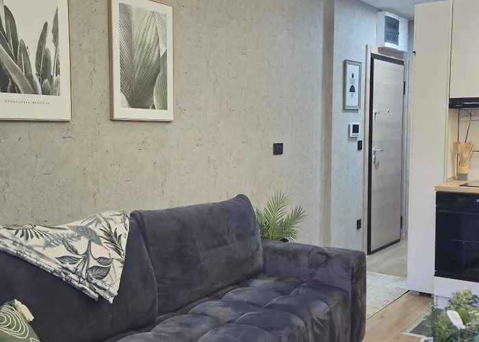 Virtus Centar Apartman *